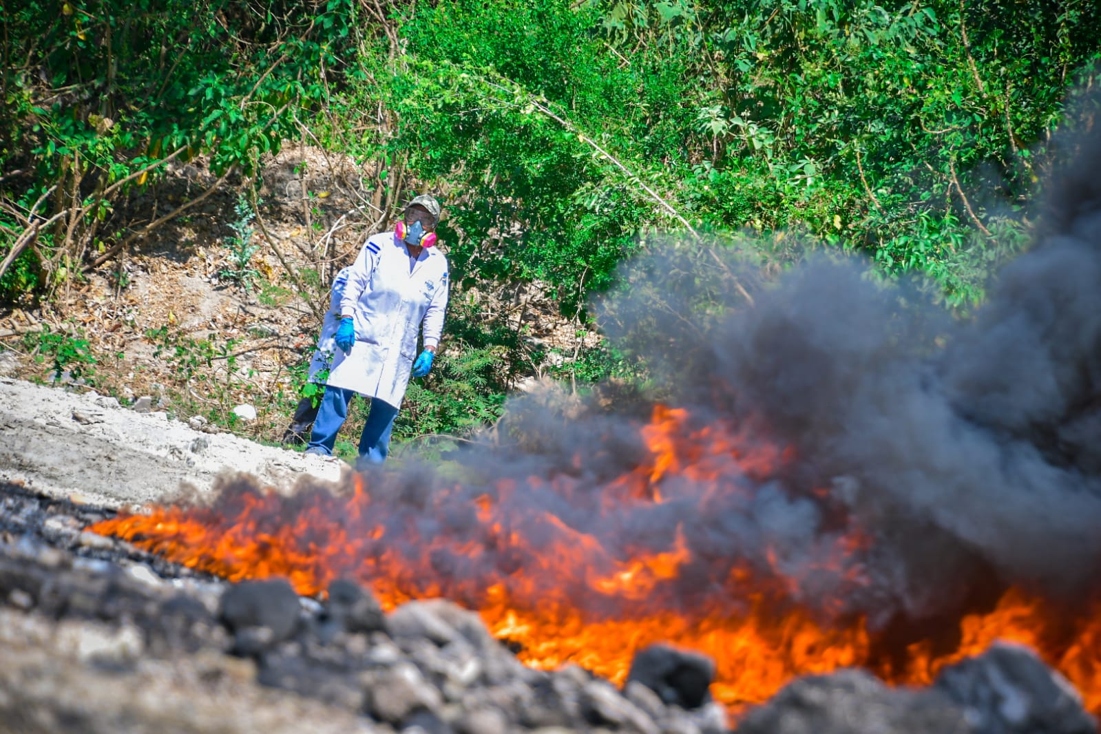 Autoridades destruyen droga incautada valorada en más de $13 millones autoridades-destruyen-droga-incautada-valorada-en-mas-de-13-millones